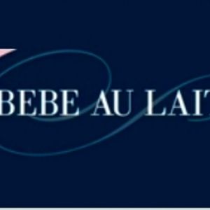 Bebe Au Lait Cotton Nursing Cover